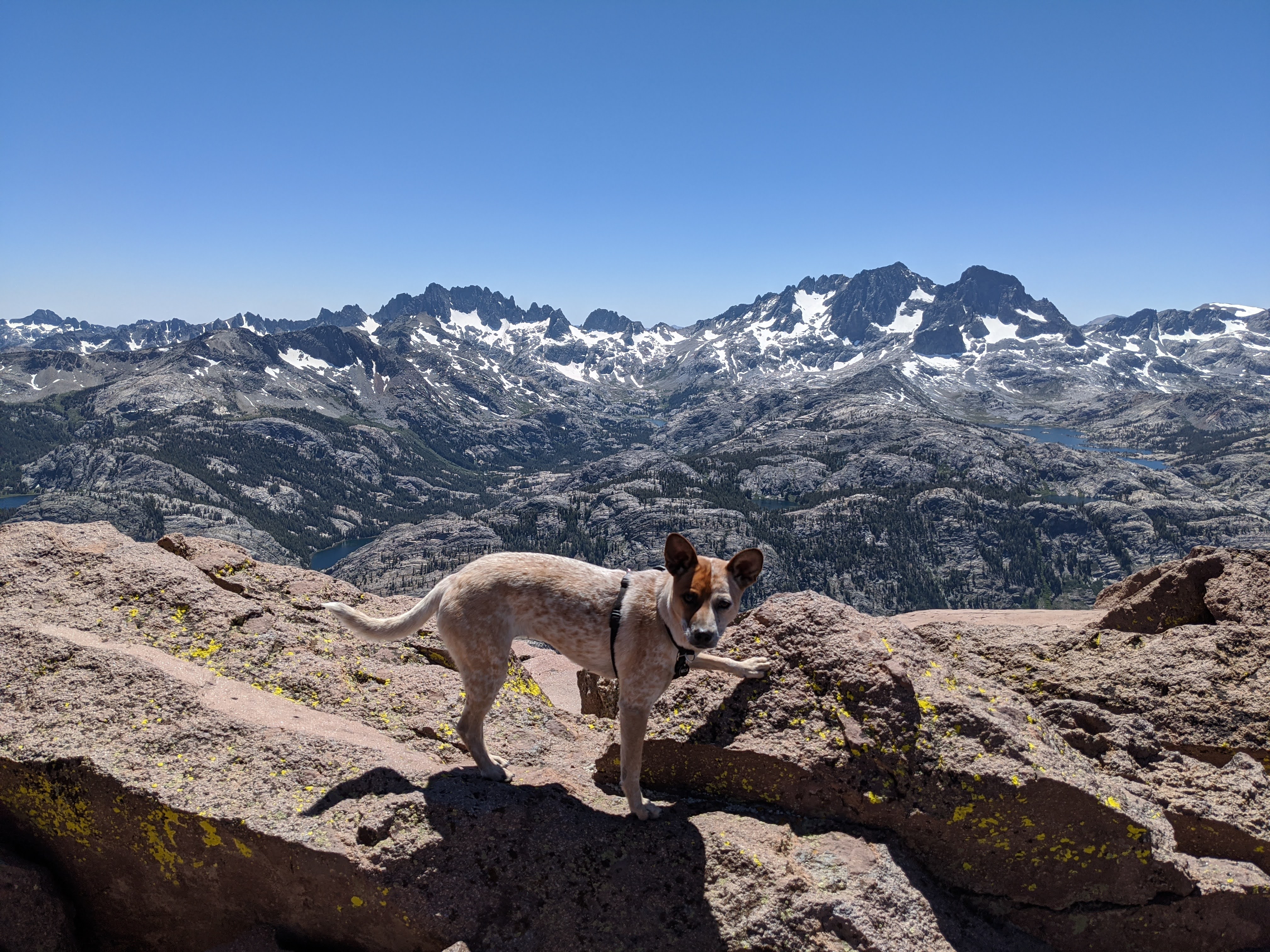 mica on the summit of San Joaquin Mountain