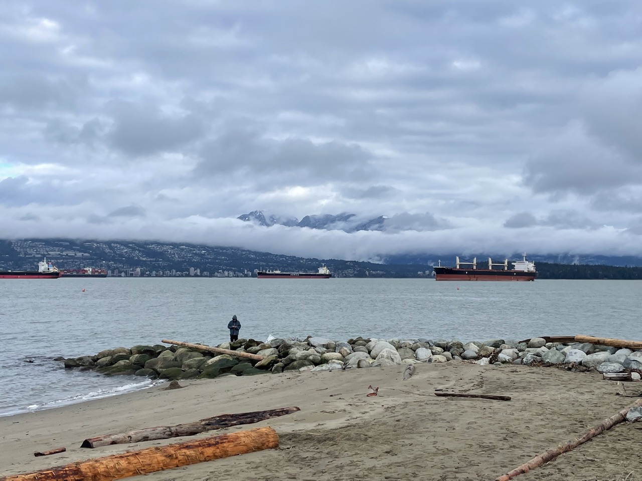 I visited the cold beach and saw many container ships queued up.